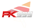 logo-pk999z